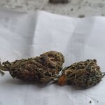 IMG_20201003_173507.jpg