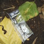 IMG_20201006_183253.jpg