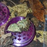 IMG_20201006_183357.jpg