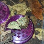 IMG_20201006_183354.jpg