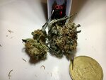 IMG_20191020_085529_668.jpg